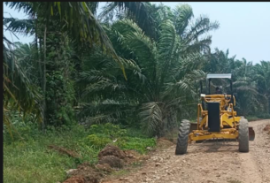 Jalan TMMD ke-130: Meningkatkan Akses dan Harapan Pembangunan di Bengkulu
